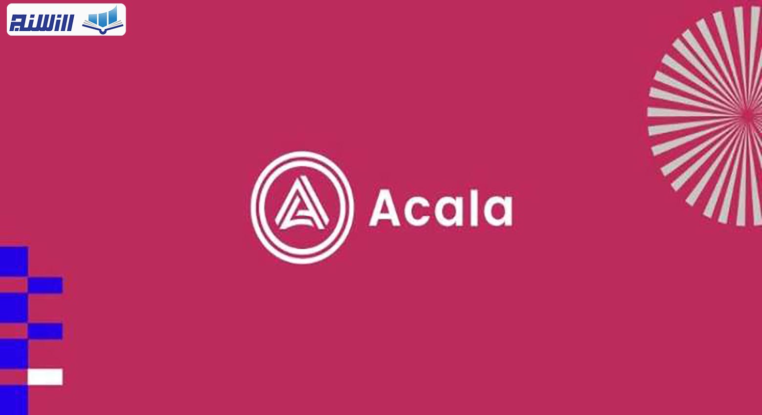 بلاک چین Acala چیست؟